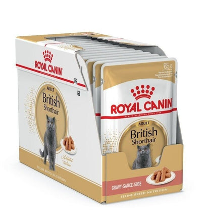 Royal Canin British Shorthair Cat Wet Food (in Gravy) - 12x85g, 48x85g Pouches