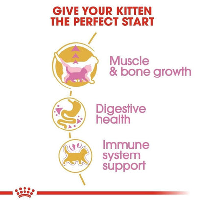 Royal Canin British Shorthair Kitten Dry Cat Food - 400g, 2kg, 10kg