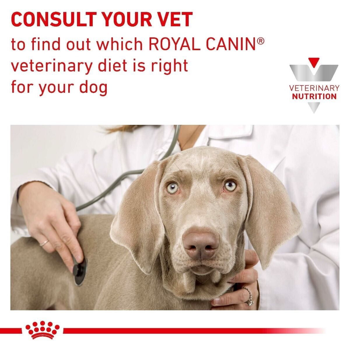 Royal Canin Cardiac Adult Wet Dog Food (in Loaf) 12x410g Tins