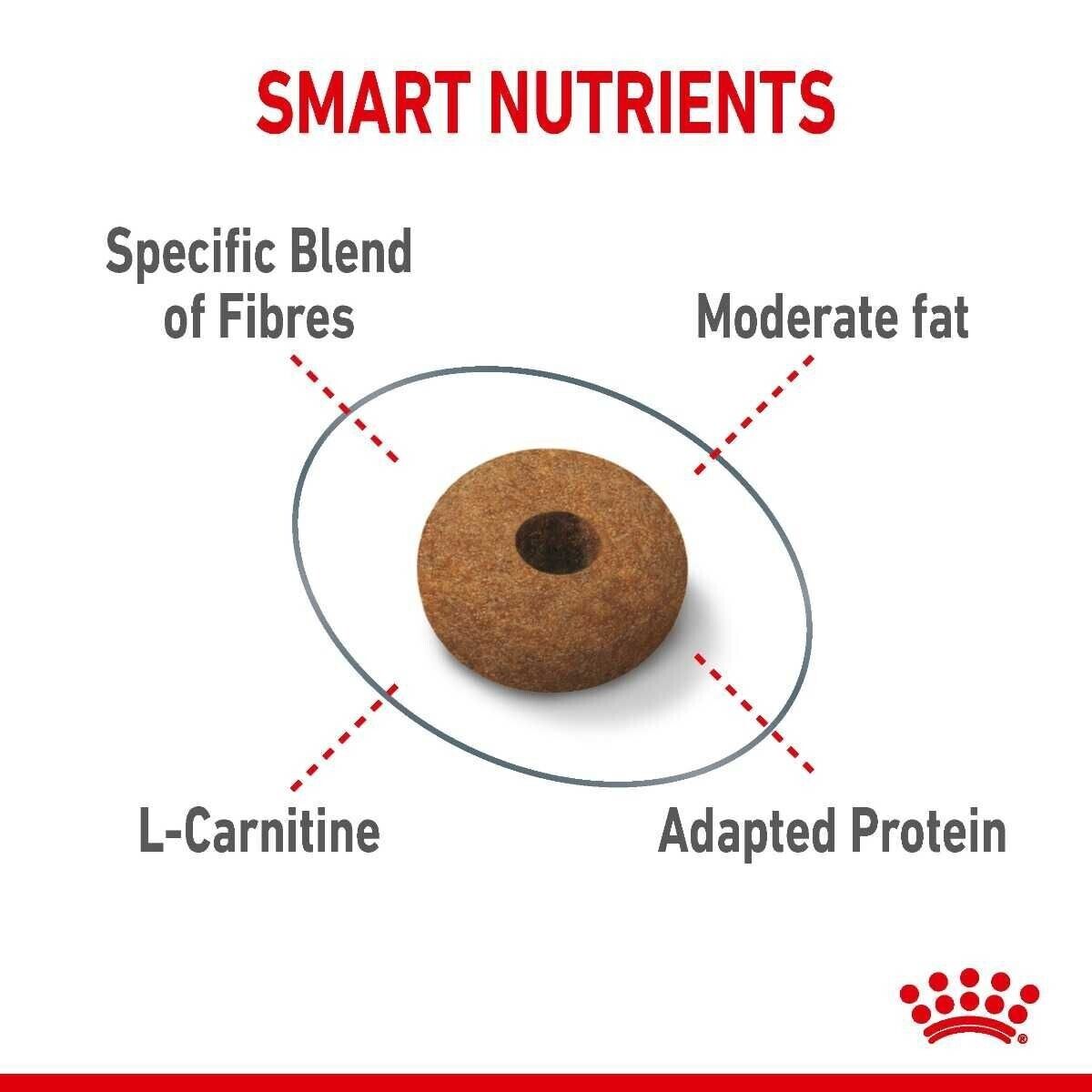Royal Canin Care Appetite Control Dry Cat Food - 400g, 2kg, 3.5kg, 10kg