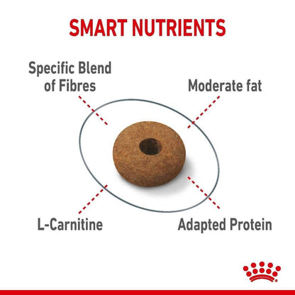 Royal Canin Care Appetite Control Dry Cat Food - 400g, 2kg, 3.5kg, 10kg