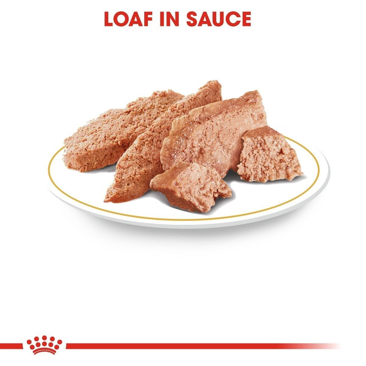 Royal Canin Chihuahua Adult Wet Dog Food in Loaf