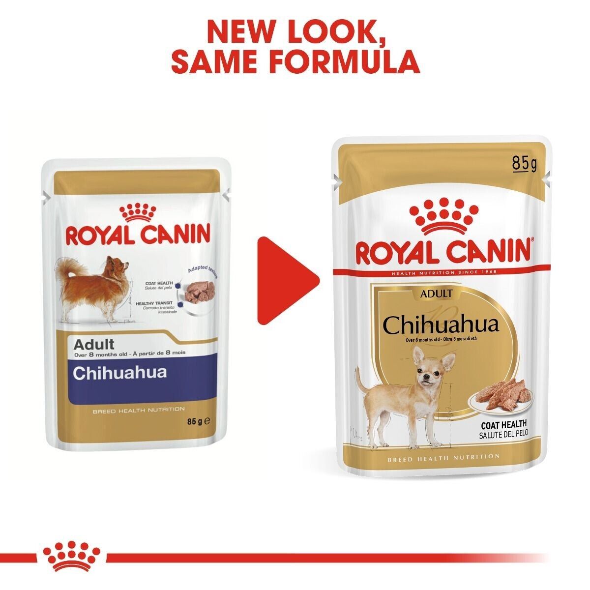 Royal Canin Chihuahua Adult Wet Dog Food in Loaf