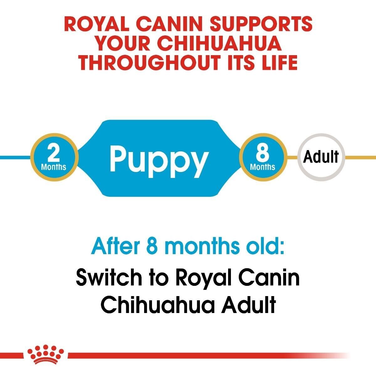 ROYAL CANIN Chihuahua Puppy Dry Dog Food  <8 months 1.5 kg , 3 kg , 4.5 kg