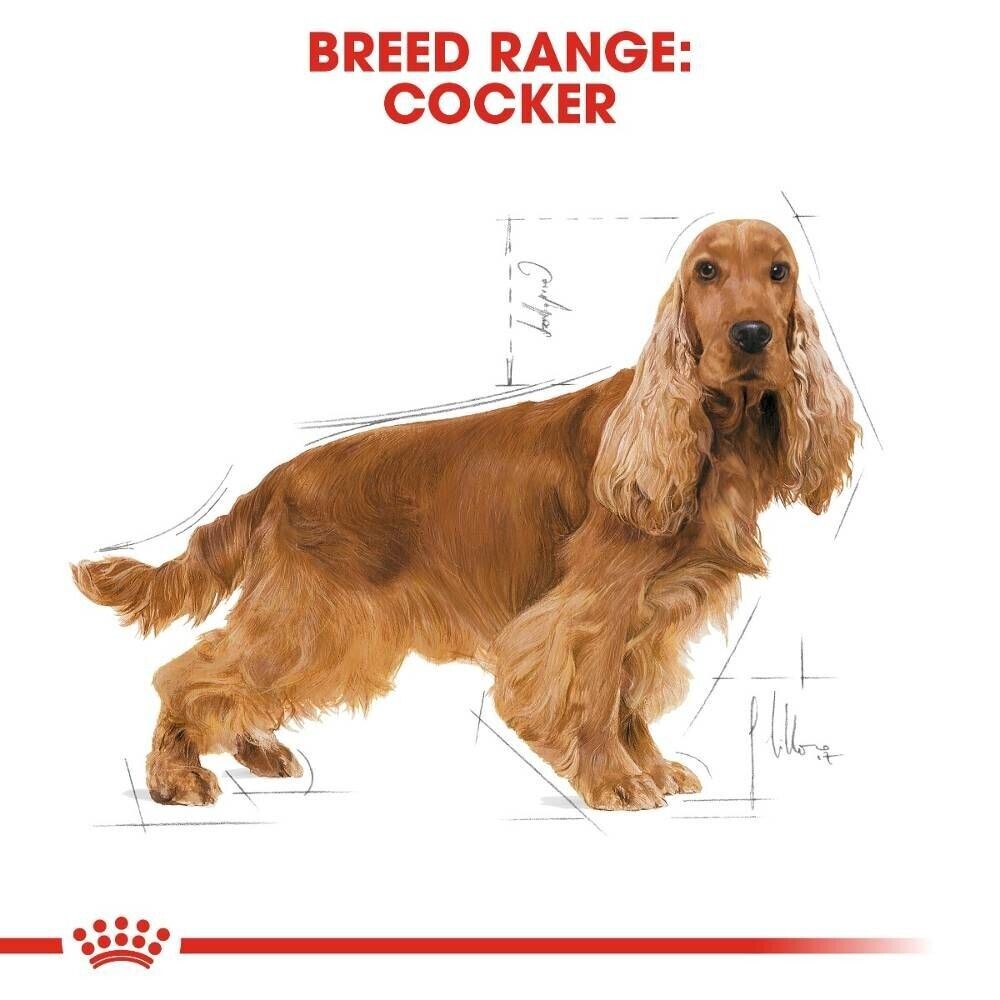 Royal Canin Cocker Spaniel Adult Dry Dog Food - 3kg, 12kg