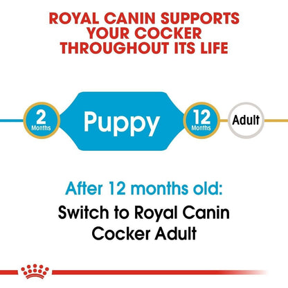 Royal Canin Cocker Spaniel Puppy Dry Dog Food - 3kg