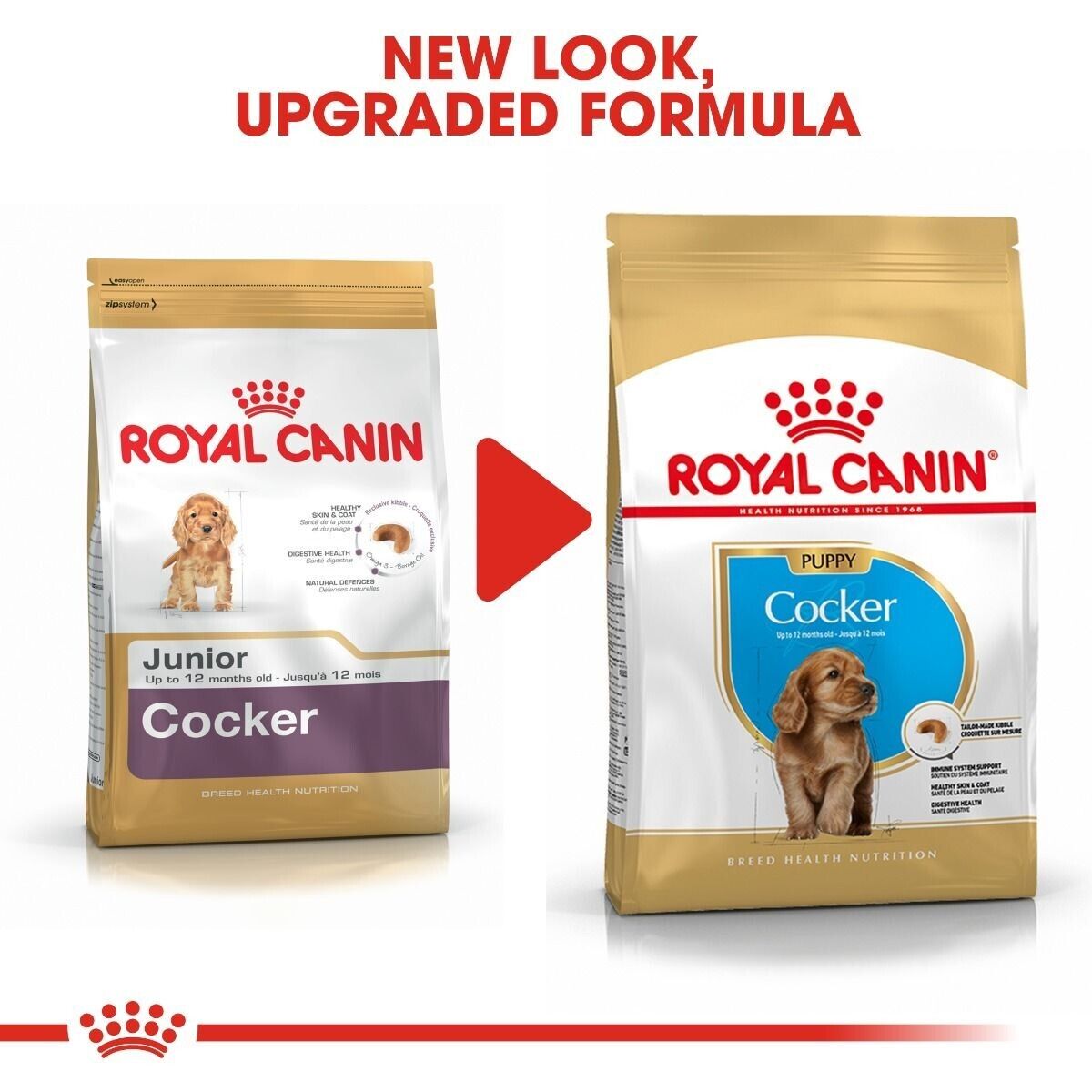 Royal Canin Cocker Spaniel Puppy Dry Dog Food - 3kg