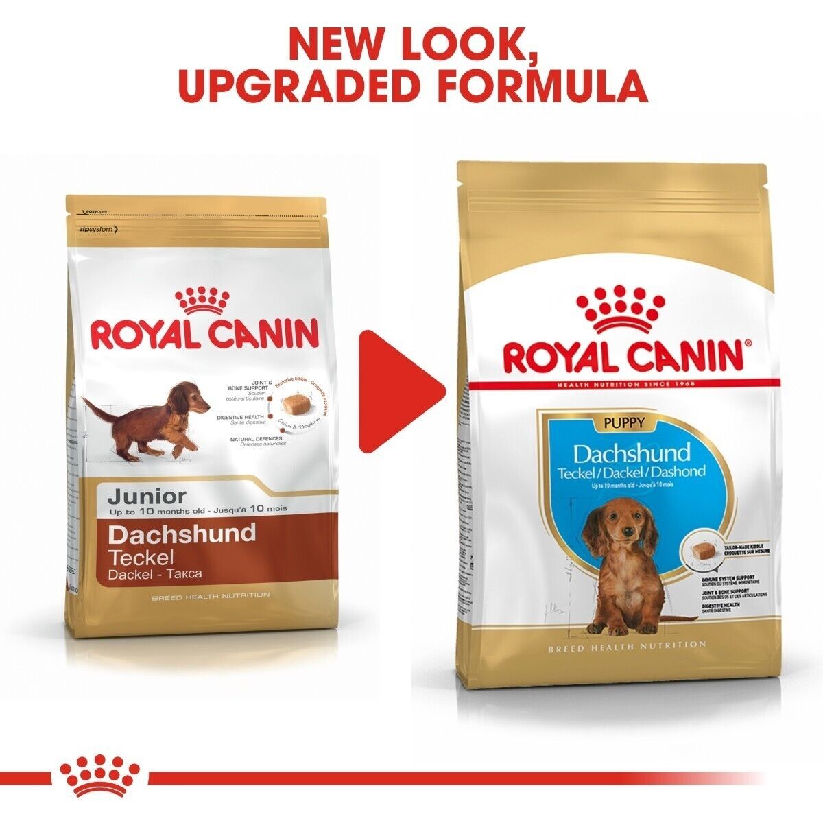 Royal Canin Dachshund Dry Puppy Food with Calcium and Phosphorus 1.5kg , 3kg