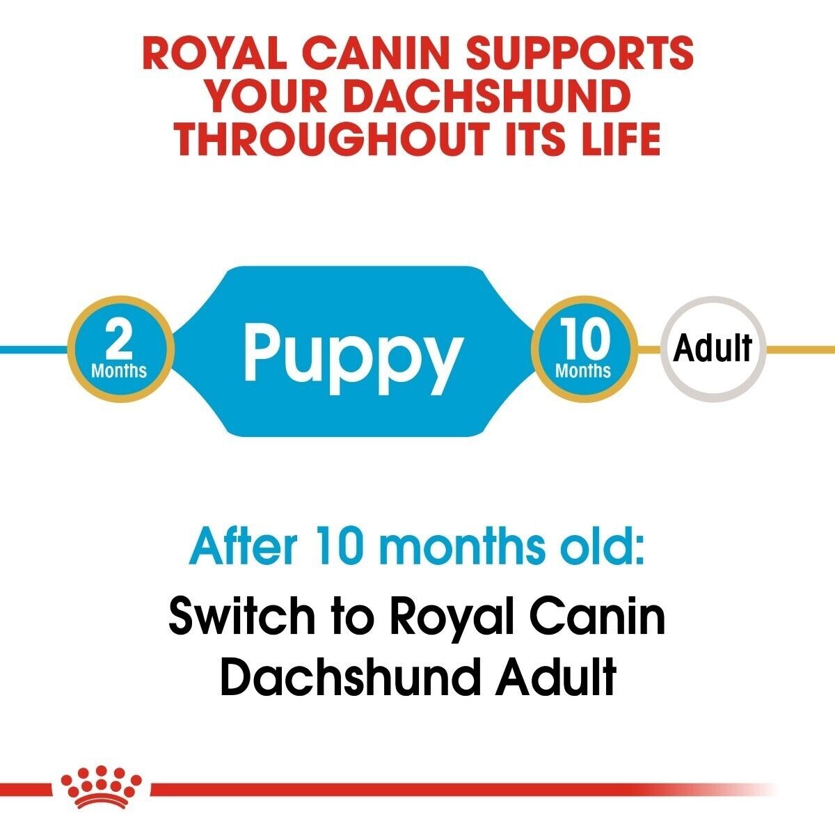 Royal Canin Dachshund Dry Puppy Food with Calcium and Phosphorus 1.5kg , 3kg