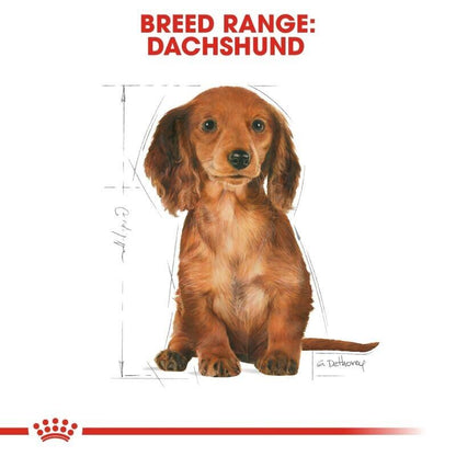 Royal Canin Dachshund Dry Puppy Food with Calcium and Phosphorus 1.5kg , 3kg