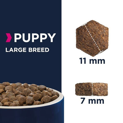 Eukanuba Growing Puppy Large Breed Dry Food with Chicken 12kg