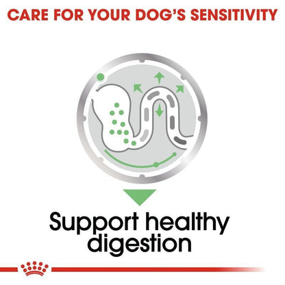 Royal Canin Digestive Care Adult Wet Dog Food (in Loaf) - 12x85g, 24x85g, 48x85g