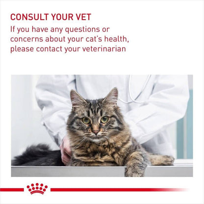 Royal Canin Digestive Care Dry Cat Food - 400g, 2kg, 4kg, 10kg