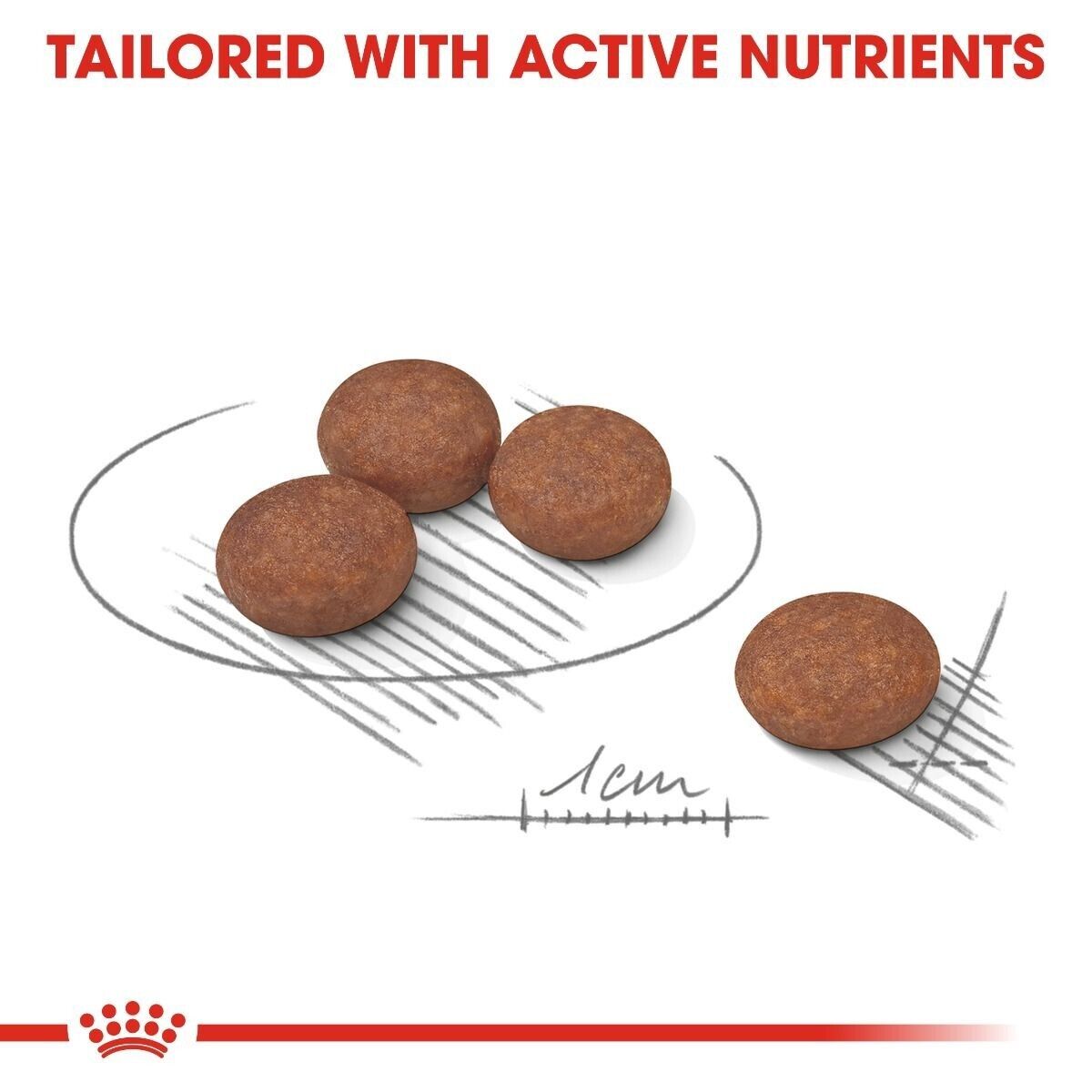 Royal Canin Digestive Care Mini Breed Adult Dry Dog Food - 3kg, 8kg