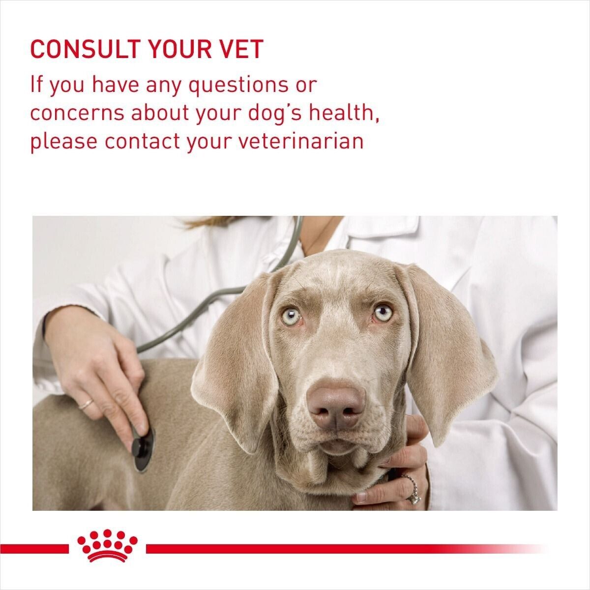 Royal Canin Digestive Care Mini Breed Adult Dry Dog Food - 3kg, 8kg