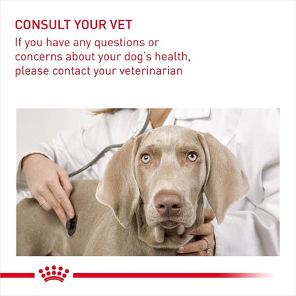 Royal Canin Digestive Care Mini Breed Adult Dry Dog Food - 3kg, 8kg