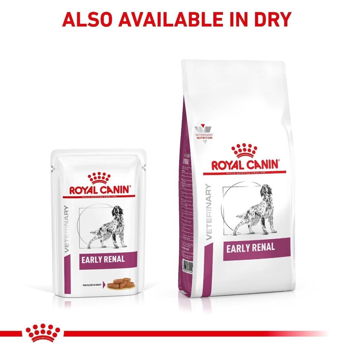 Royal Canin Early Renal Wet Dog Food (in Gravy) 12x100g, 48x100g Pouches