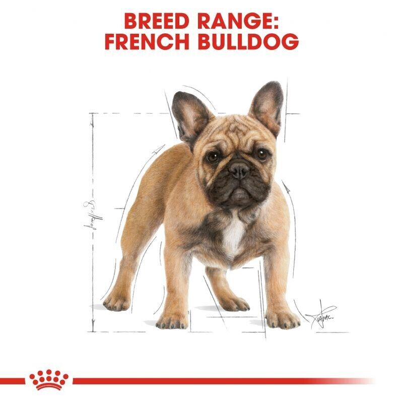 Royal Canin French Bulldog Adult Dry Dog Food - 3kg , 9kg