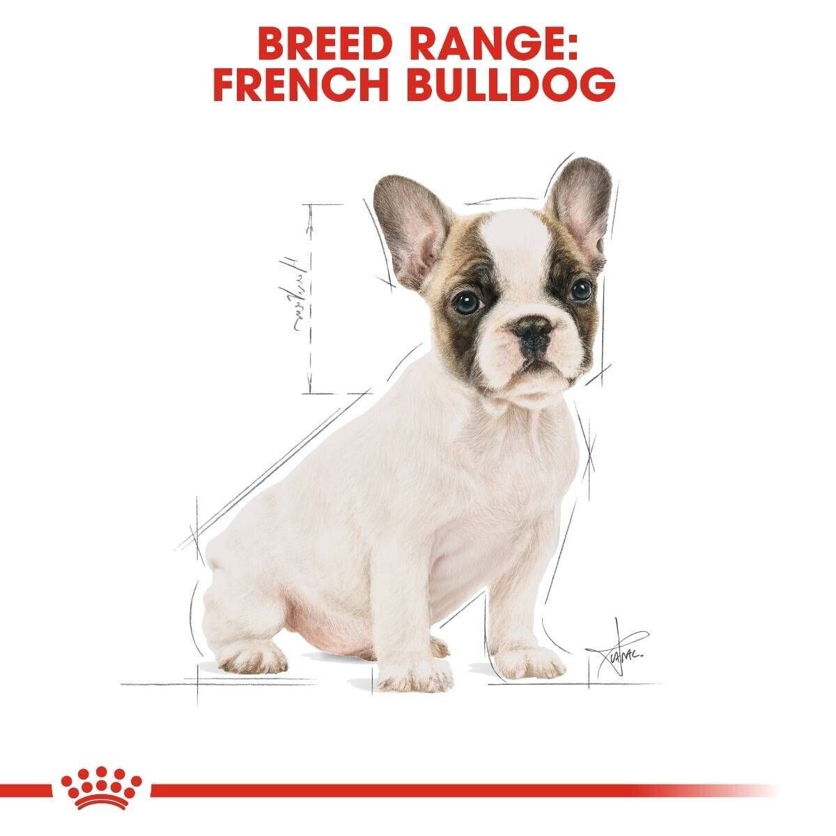 Royal Canin French Bulldog Puppy Dry Dog Food - 3kg, 10kg