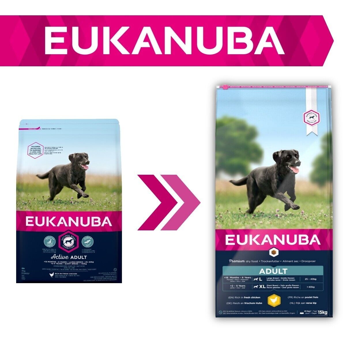 Eukanuba Large Breed Active Adult with Chicken Dry Dog Food - 12kg