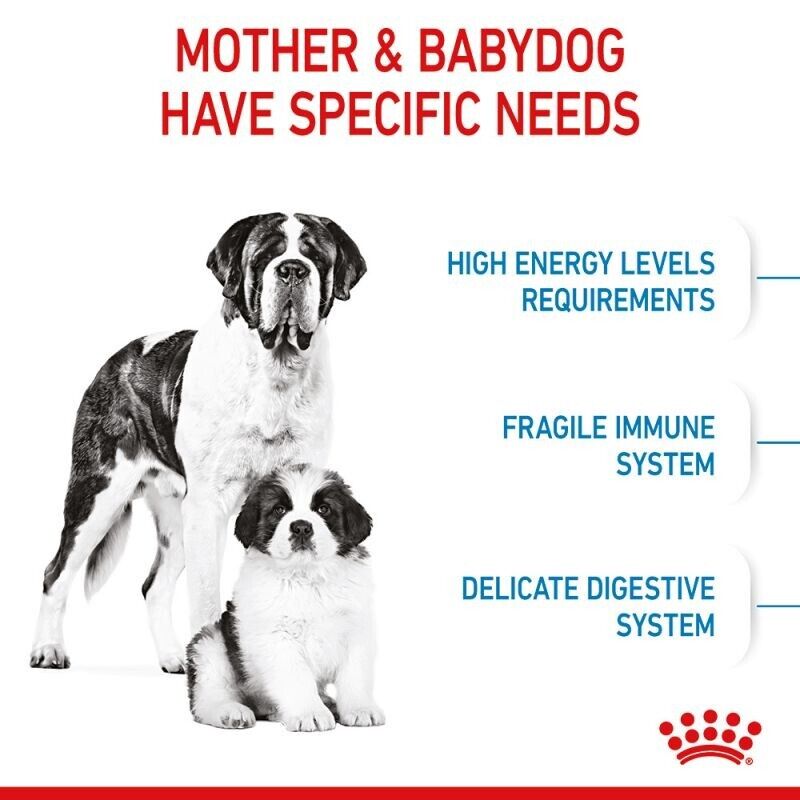 ROYAL CANIN Giant Starter Mother & Babydog Adult and Puppy Dry Food 15kg Omega 3