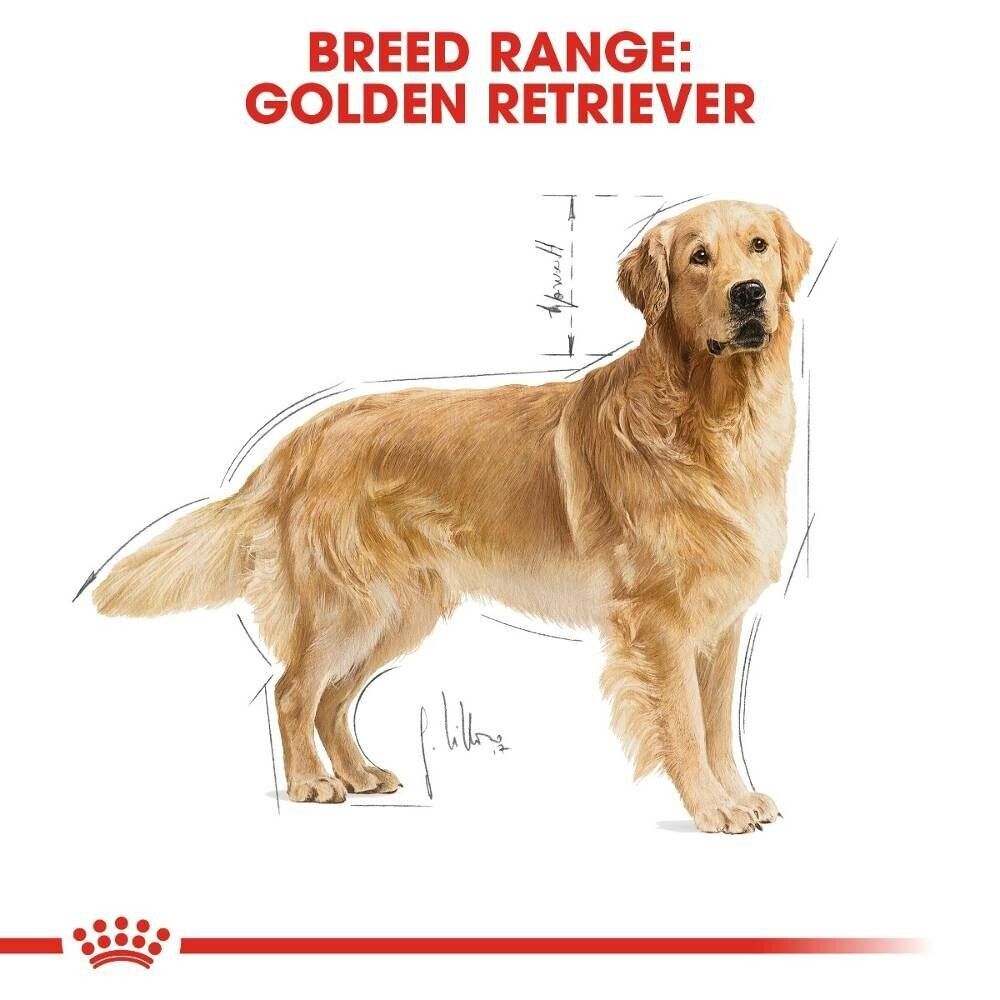 Royal Canin Golden Retriever Adult Dry Dog Food - 3kg, 12kg