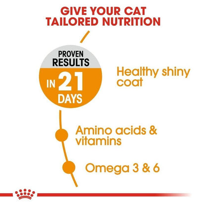 Royal Canin Hair Skin Care Adult Wet Cat Food in Gravy Pouches - 12x85g, 48x85g