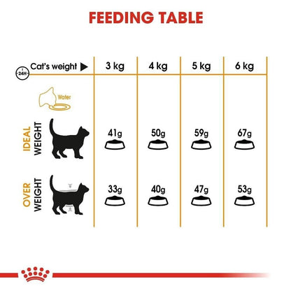 Royal Canin Hair & Skin Care Adult Dry Cat Food - 400g, 2kg, 4kg, 10kg