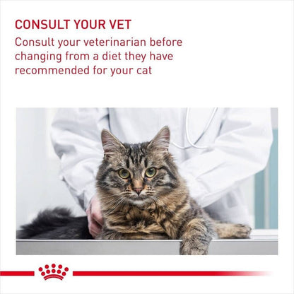 Royal Canin Hair Skin Care Adult Wet Cat Food in Gravy Pouches - 12x85g, 48x85g
