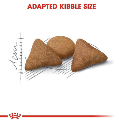 Royal Canin Indoor Appetite Control Home Life Dry Cat Food - 2kg, 4kg