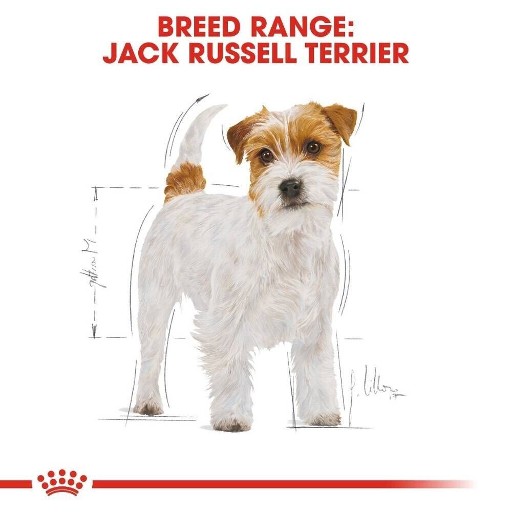 Royal Canin Jack Russell Terrier Adult Dry Dog Food - 1.5kg, 3kg, 7.5kg