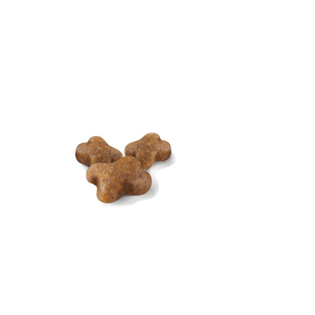 Royal Canin Kitten Dry Cat Food - 400g, 2kg, 4kg, 10kg