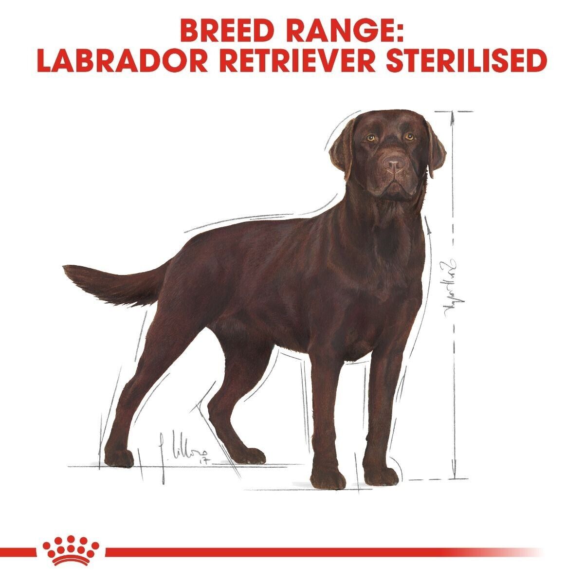 Royal Canin Labrador Retriever Adult Sterilised Dry Dog Food - 12kg