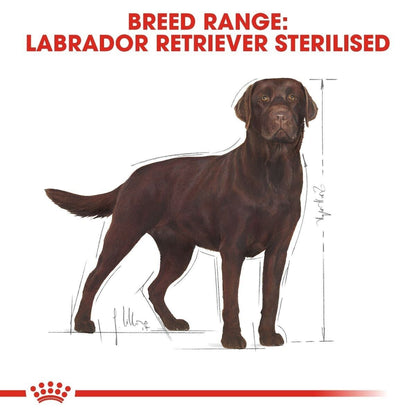 Royal Canin Labrador Retriever Adult Sterilised Dry Dog Food - 12kg