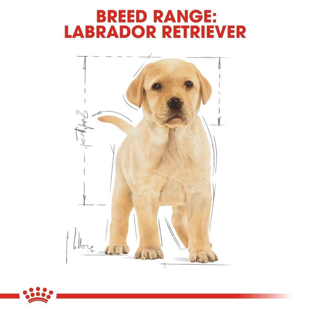 Royal Canin Labrador Retriever Puppy Dry Dog Food - 3kg, 12kg