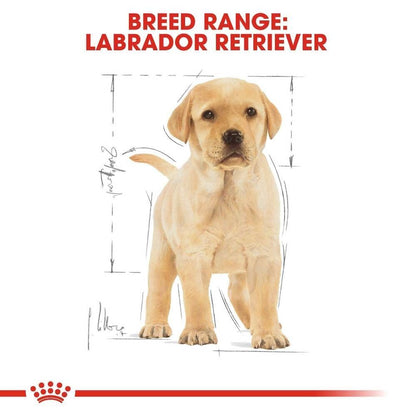 Royal Canin Labrador Retriever Puppy Dry Dog Food - 3kg, 12kg