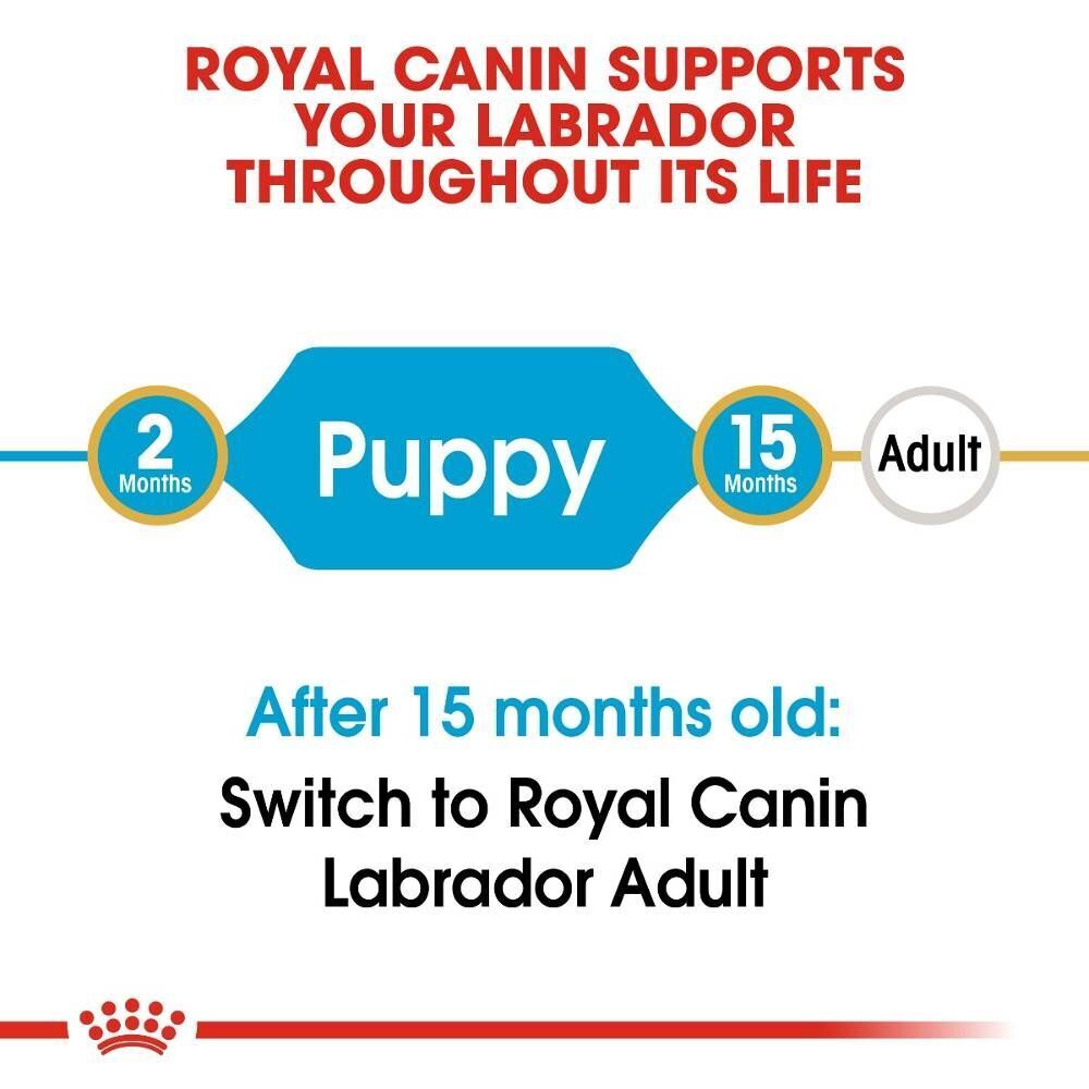 Royal Canin Labrador Retriever Puppy Dry Dog Food - 3kg, 12kg