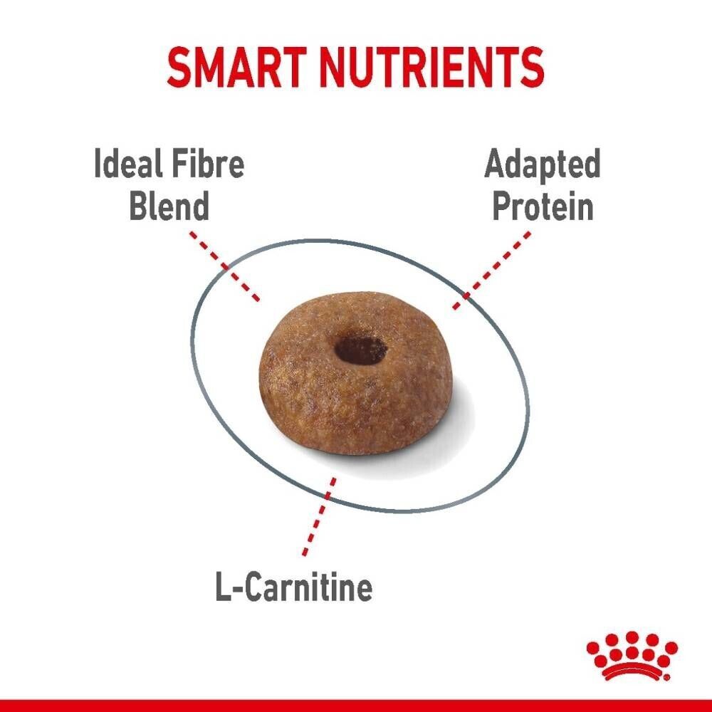 Royal Canin Light Weight Care Dry Cat Food - 400g, 1.5kg, 3kg, 8kg