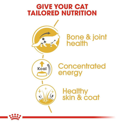 Royal Canin Maine Coon Adult Wet Cat Food Pouches (in Gravy) 12x85g, 48x85g