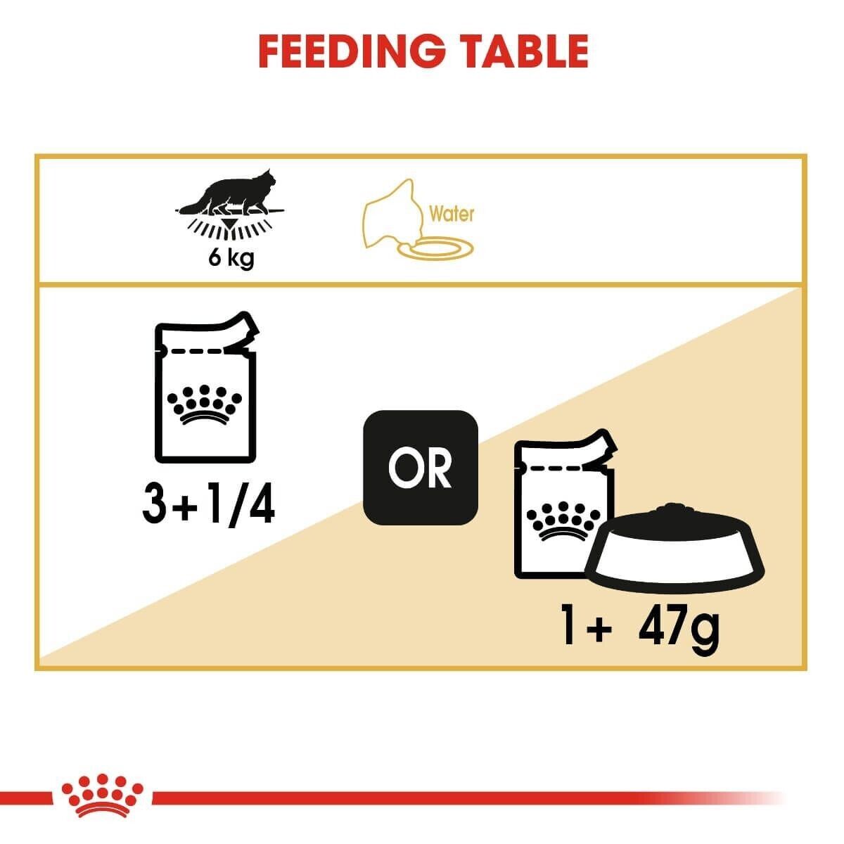 Royal Canin Maine Coon Adult Wet Cat Food Pouches (in Gravy) 12x85g, 48x85g
