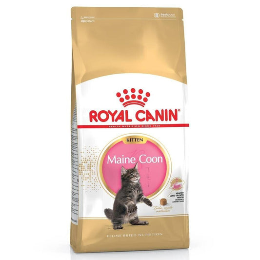Royal Canin Maine Coon Kitten Dry Cat Food - 400g, 2kg, 4kg, 10kg