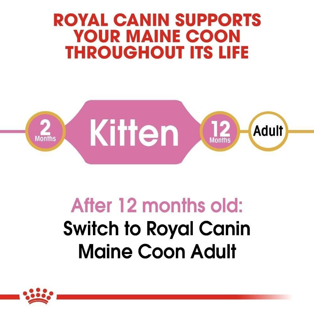 Royal Canin Maine Coon Kitten Dry Cat Food - 400g, 2kg, 4kg, 10kg