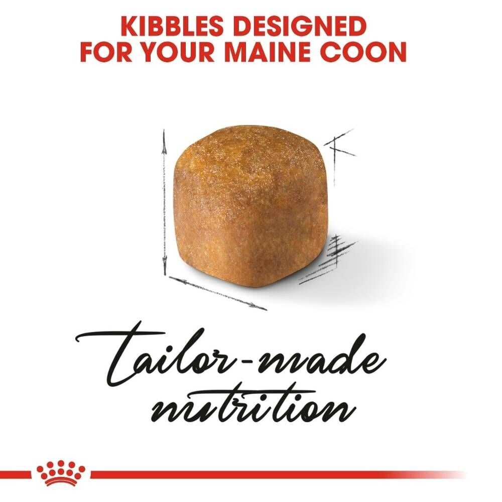 Royal Canin Maine Coon Kitten Dry Cat Food - 400g, 2kg, 4kg, 10kg