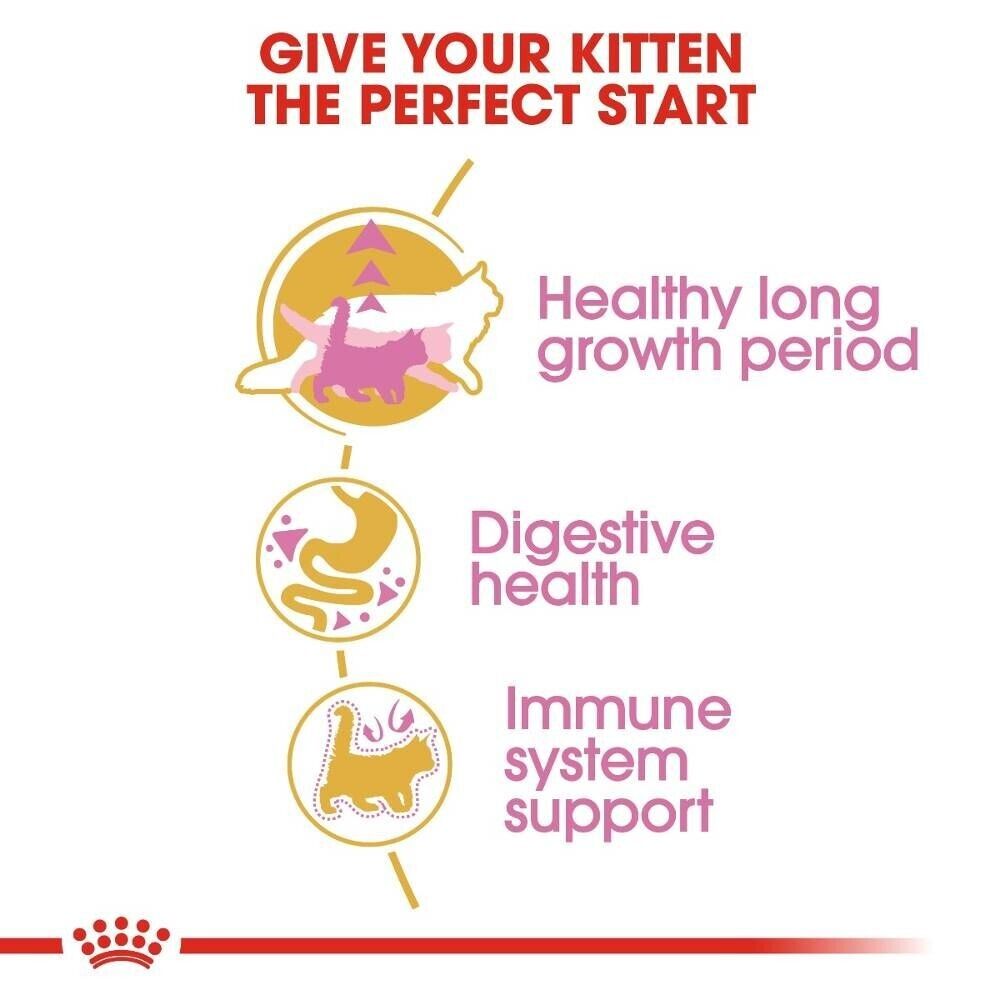 Royal Canin Maine Coon Kitten Dry Cat Food - 400g, 2kg, 4kg, 10kg