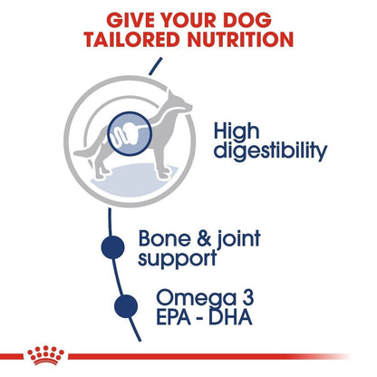 Royal Canin Maxi Adult Wet Dog Food (in Gravy) Pouches - 10x140g, 40x140g