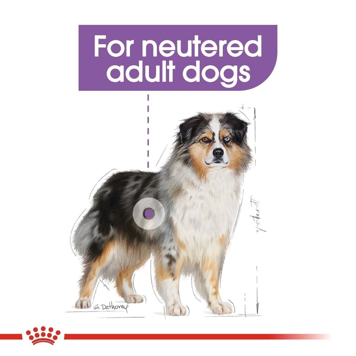 Royal Canin Medium Adult Sterilised Care Dry Dog Food - 3kg, 12kg