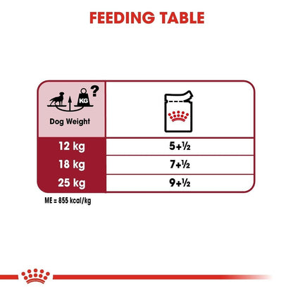 Royal Canin Medium Adult Wet Dog Food (in Gravy) - 10x140g, 40x140g  Pouches