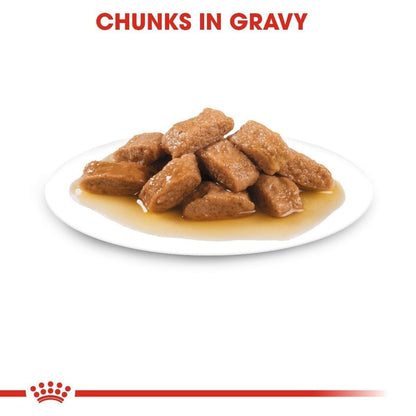 Royal Canin Medium Adult Wet Dog Food (in Gravy) - 10x140g, 40x140g  Pouches