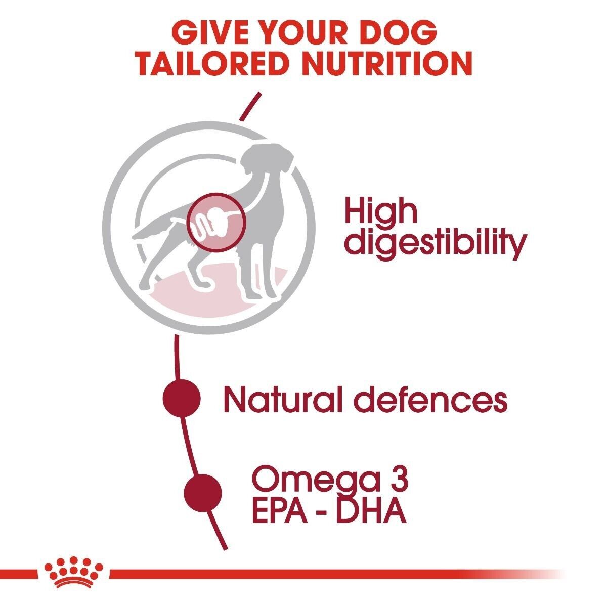 Royal Canin Medium Adult Wet Dog Food (in Gravy) - 10x140g, 40x140g  Pouches