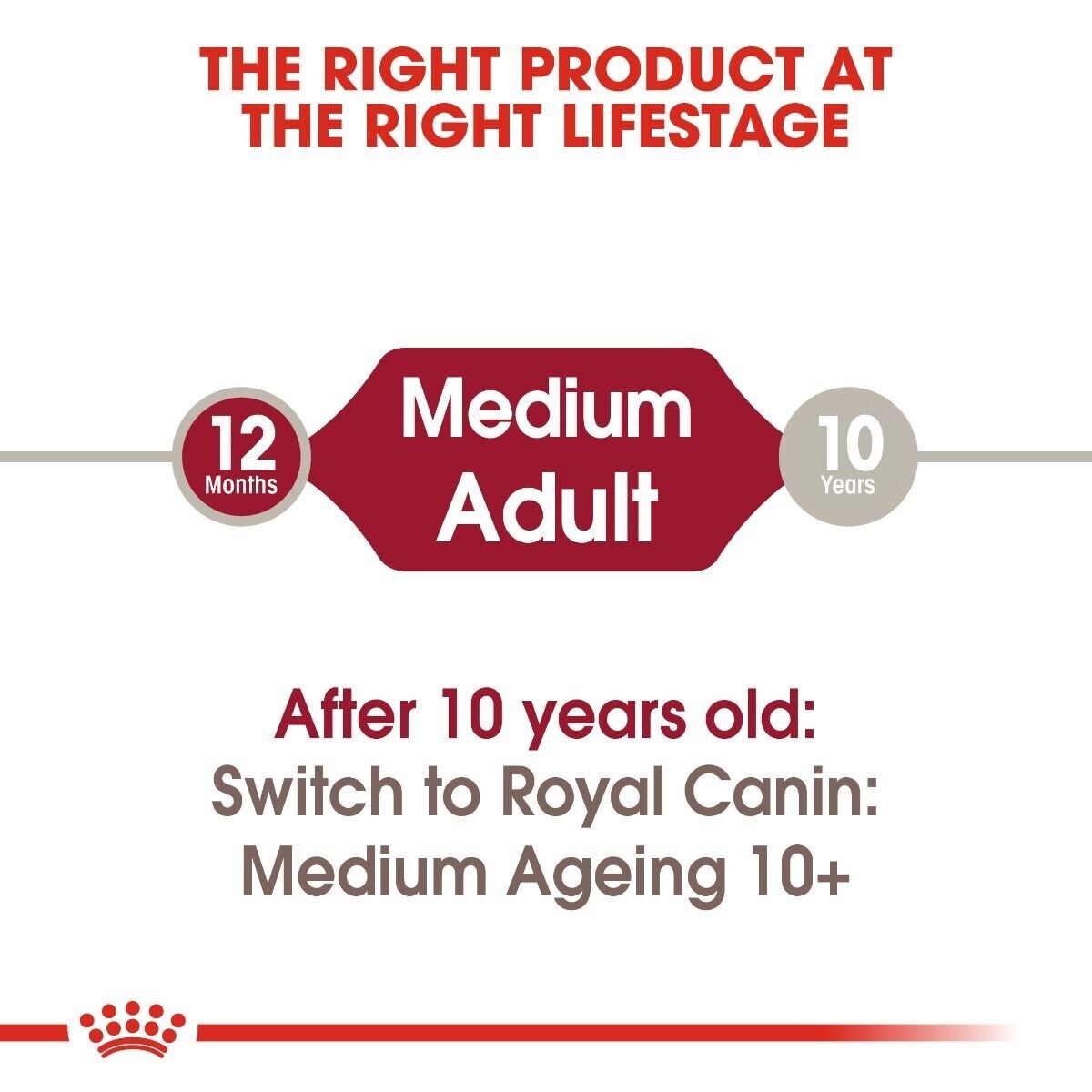 Royal Canin Medium Adult Wet Dog Food (in Gravy) - 10x140g, 40x140g  Pouches